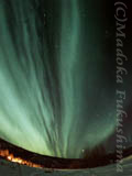 aurora1990-07